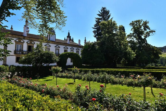 Shore excursions and activities on MS Amalia Rodrigues
